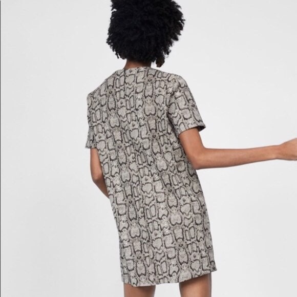 ZARA NWT Snake Print Shift Dress - Picture 2 of 7
